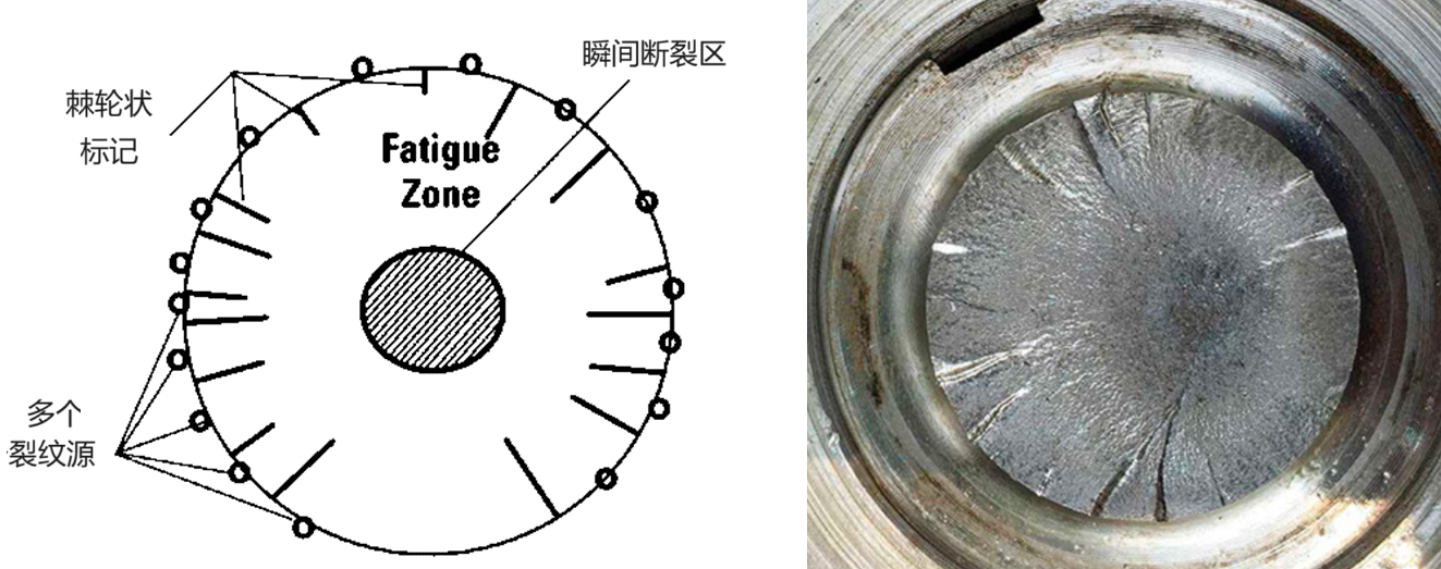 1715742947699061.png 7.png